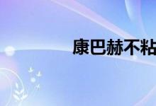 康巴赫不粘锅电锅（康巴）