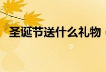 圣诞节送什么礼物（圣诞节的礼物选什么）