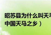 昭苏县为什么叫天马之乡（新疆昭苏县被誉为中国天马之乡）