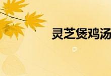 灵芝煲鸡汤的做法（灵芝）