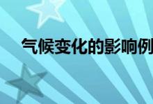 气候变化的影响例子（气候变化的影响）