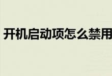 开机启动项怎么禁用（开机启动项怎么管理）