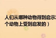 人们从哪种动物得到启示发明了防毒面具（防毒面具是从哪个动物上受到启发的）