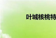 叶城核桃特点（叶城核桃）