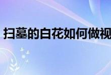 扫墓的白花如何做视频（扫墓的白花怎么做）