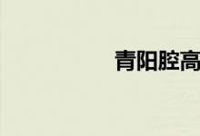 青阳腔高莹（青阳腔）