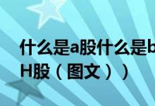 什么是a股什么是b股h股（什么是A股B股和H股（图文））