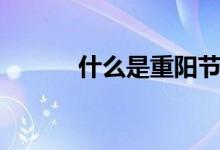 什么是重阳节（重阳节指什么）