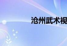 沧州武术视频（沧州武术）