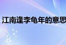江南逢李龟年的意思（江南逢李龟年的诗意）