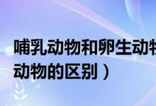 哺乳动物和卵生动物的区别（哺乳动物和卵生动物的区别）