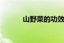 山野菜的功效与作用（山野菜）