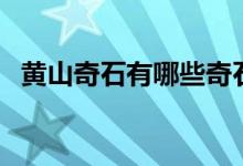 黄山奇石有哪些奇石（黄山奇石都有哪些）