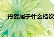 丹姿属于什么档次（丹姿属于什么档次）