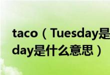 taco（Tuesday是什么梗及及及taco及Tuesday是什么意思）