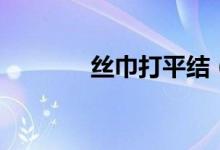 丝巾打平结（丝巾打法图解）