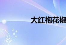 大红袍花椒（大红袍花椒）