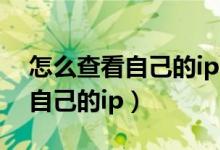 怎么查看自己的ipad是什么型号（怎么查看自己的ip）