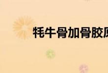 牦牛骨加骨胶原蛋白片（牦牛骨）