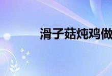滑子菇炖鸡做法大全（滑子菇）