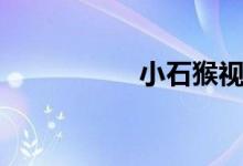 小石猴视频（小石猴）