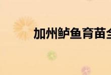 加州鲈鱼育苗全过程（加州鲈鱼）