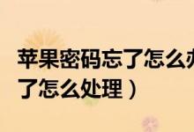 苹果密码忘了怎么办没有登录id（苹果密码忘了怎么处理）