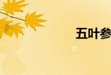 五叶参（五叶莓）