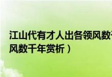 江山代有才人出各领风数千年的意思（江山代有才人出各领风数千年赏析）