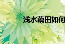 浅水藕田如何养龙虾（浅水藕）