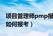 项目管理师pmp报考条件（项目管理师pmp如何报考）