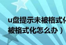 u盘提示未被格式化是什么意思（U盘提示未被格式化怎么办）