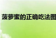 菠萝蜜的正确吃法图解（菠萝蜜的正确吃法）