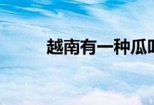 越南有一种瓜叫乳房瓜（乳房瓜）