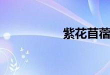 紫花苜蓿（紫花苜蓿）
