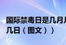 国际禁毒日是几月几号呢（国际禁毒日是几月几日（图文））