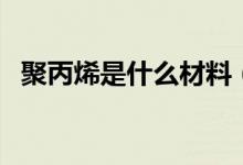 聚丙烯是什么材料（聚丙烯是用什么做的）