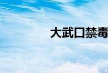 大武口禁毒（中国大武口）