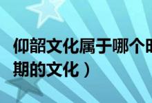 仰韶文化属于哪个时期（仰韶文化属于哪个时期的文化）