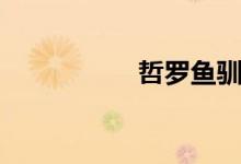 哲罗鱼驯养（哲罗鱼）