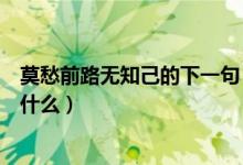 莫愁前路无知己的下一句（莫愁前路无知己的下一句诗句是什么）