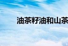 油茶籽油和山茶油区别（油茶籽油）