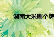 湖南大米哪个牌子好吃（湖南大米）