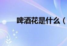 啤酒花是什么（啤酒花是什么植物）