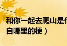 和你一起去爬山是什么梗（和你一起去爬山出自哪里的梗）