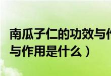 南瓜子仁的功效与作用吃法（南瓜子仁的功效与作用是什么）