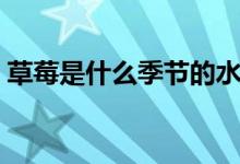 草莓是什么季节的水果（几月份可以摘草莓）