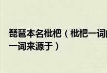 琵琶本名枇杷（枇杷一词的来源是什么及琵琶本名枇杷枇杷一词来源于）
