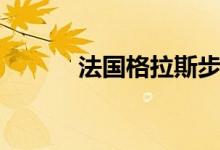 法国格拉斯步枪（法国格拉斯）