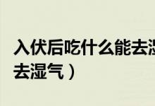 入伏后吃什么能去湿气（入伏后吃哪些食物能去湿气）